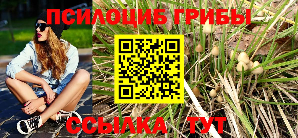 Мариинск  Псилоцибиновые грибы Psilocybine cubensis  Галлюциногенные грибы Magic Shrooms  Вход с VPN 